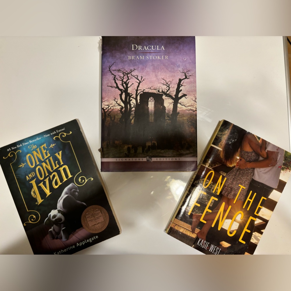 Random book lot.